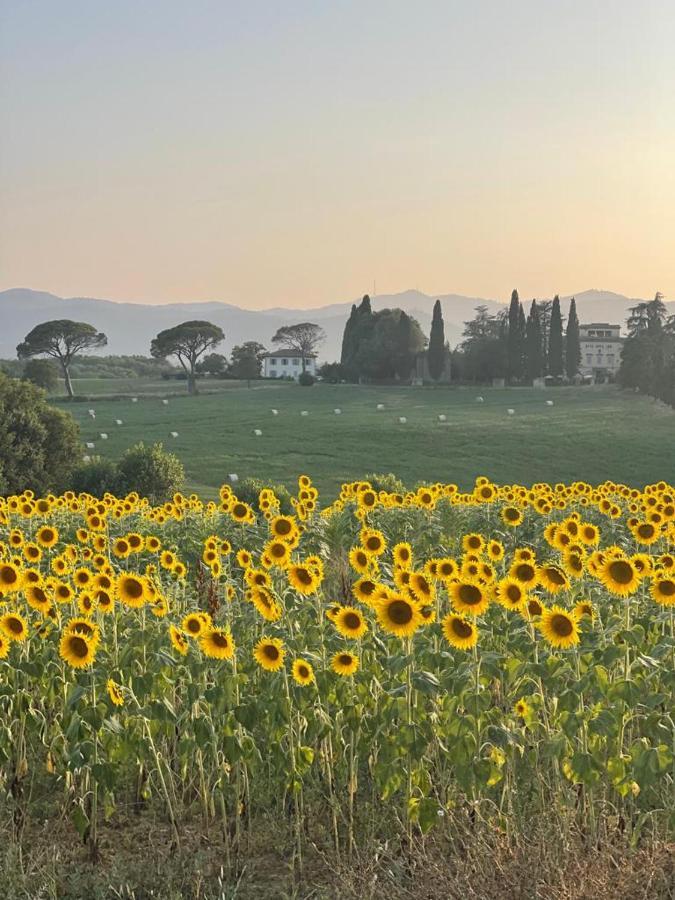 Casa Le Rondini Toscana Bucine ภายนอก รูปภาพ